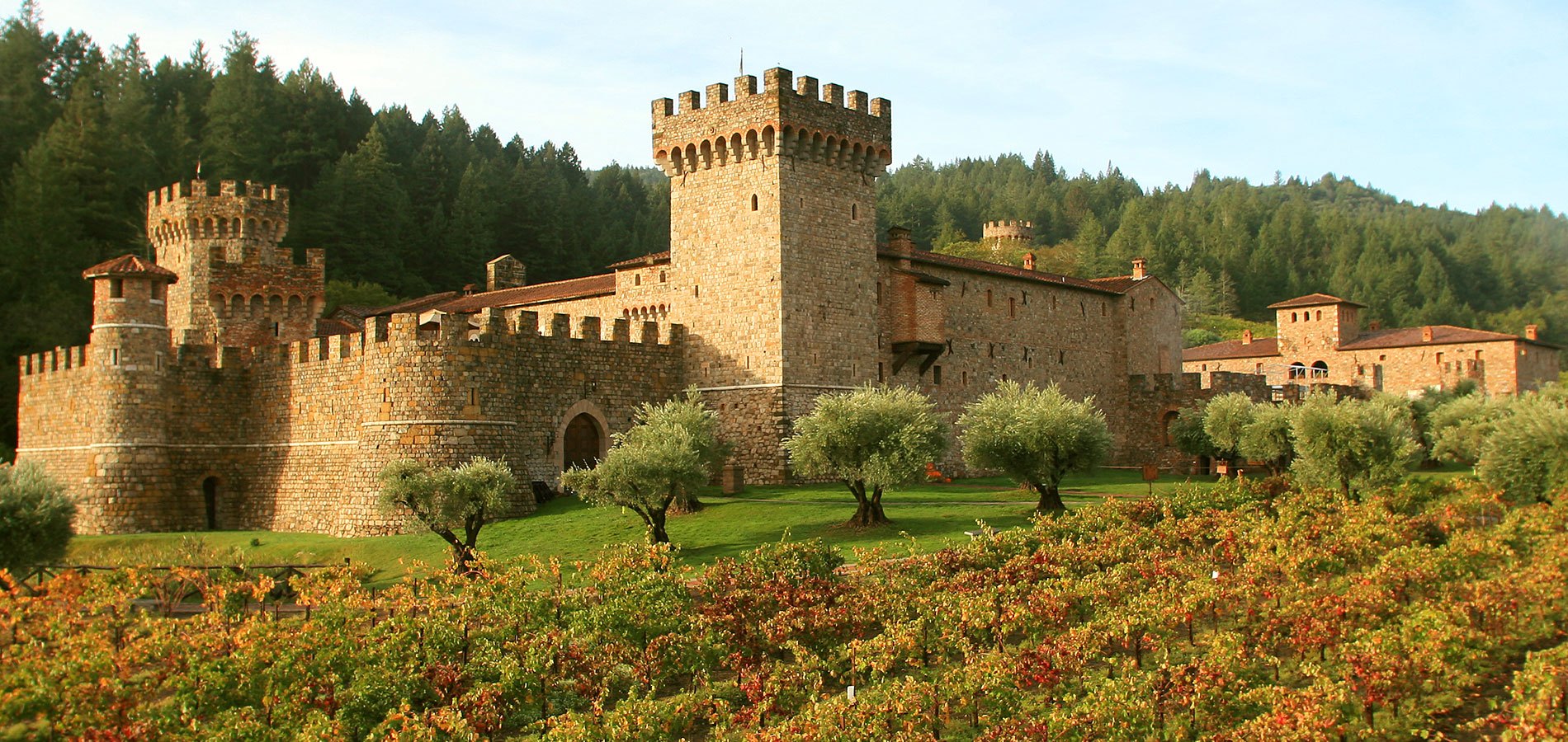 An image of the Castello di Amorosa winery in Napa Valley, a large, stone castle surrounded by vineyards.