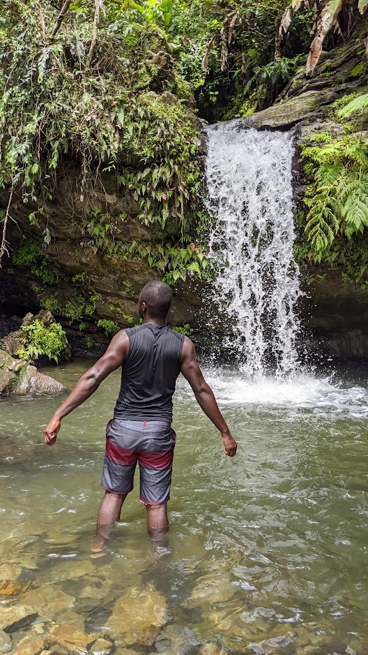 Man wading in a rainforest pool facing a cascading waterfall at El Yunque