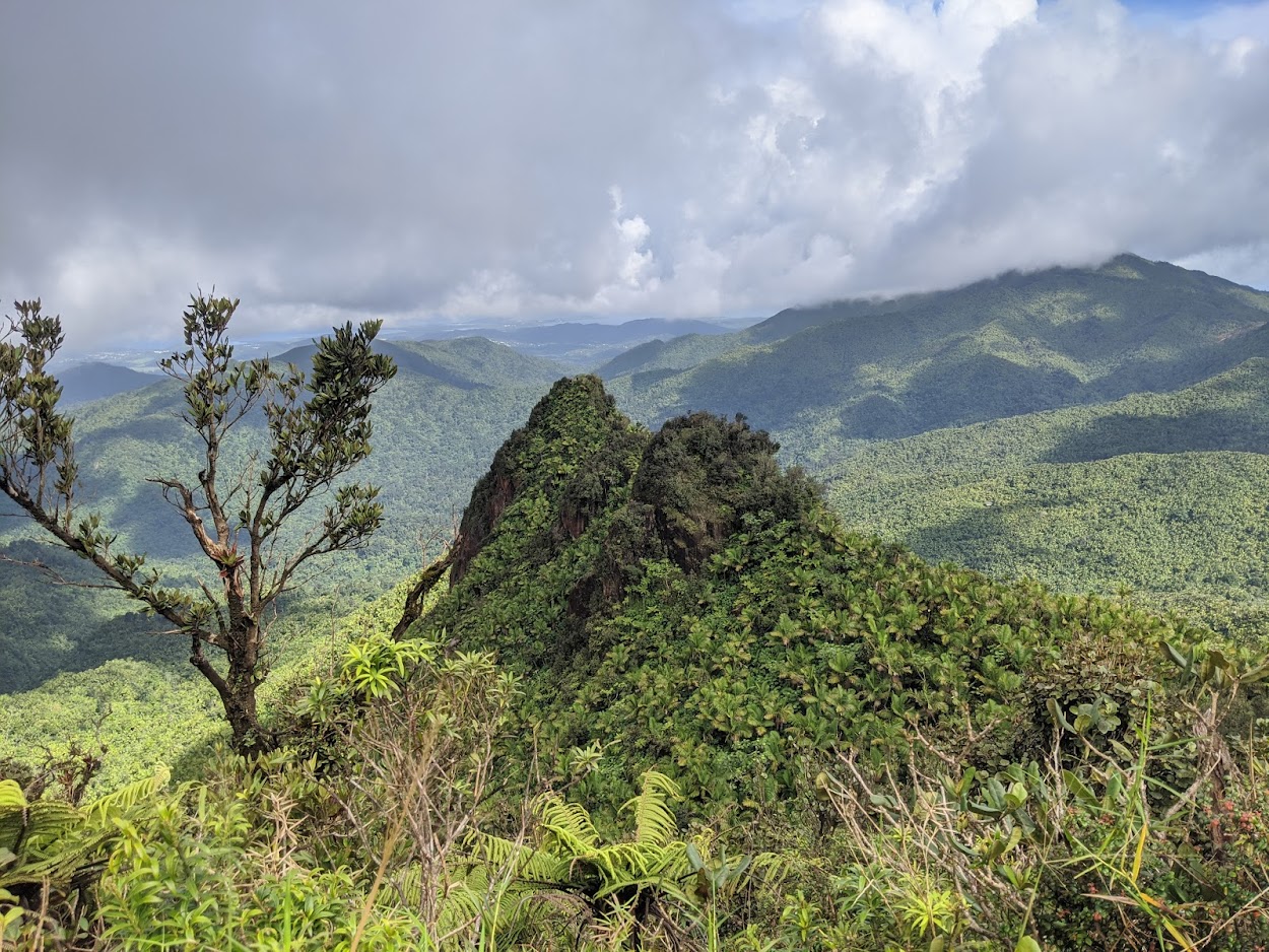 Lush green peaks and ridges of El Yunque National Forest under cloudy skies
