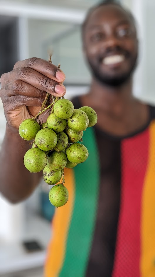 Smiling man holding up a fresh cluster of green quenepas (Spanish lime)