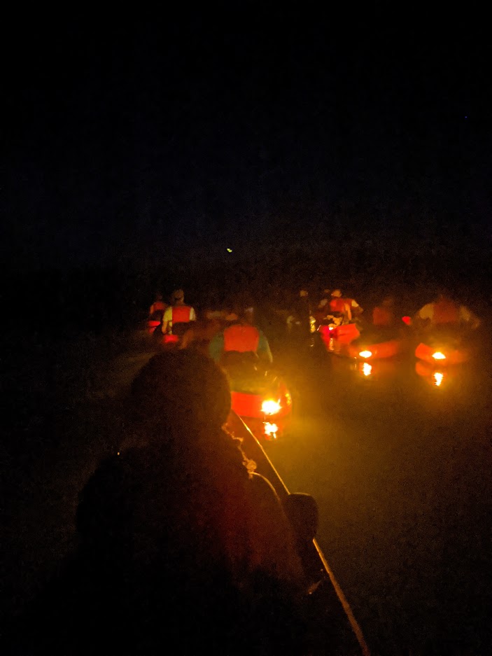 Kayakers with glowing safety lights paddling through darkness toward the bay